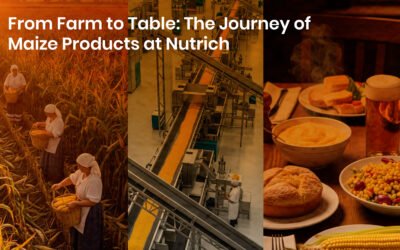 From Farm to Table: The Journey of Maize Products at Nutrich