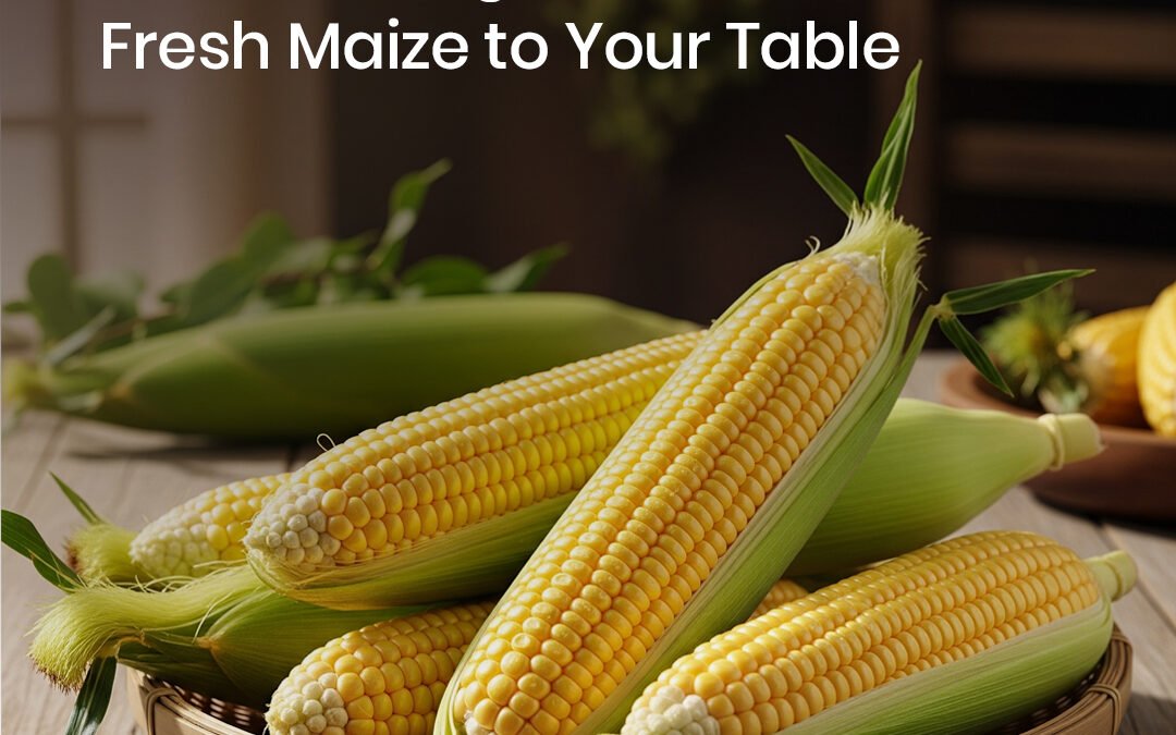 From Soil to Spoon: Discover How Nutrich Brings You the Finest Maize & Maize Products