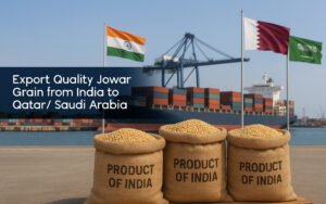 Jowar Grain