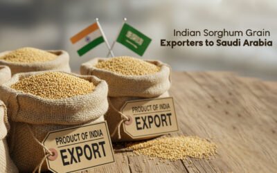 Indian Sorghum Grain Suppliers for the Saudi Arabian Market