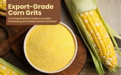 Export-Grade Corn Grits: A Comprehensive Guide to Quality, Processing and Global Market Demand