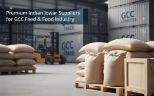 Premium Indian Jowar Suppliers