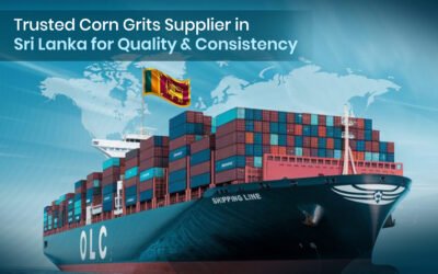 Trusted Corn Grits Supplier in Sri Lanka for Quality & Consistency