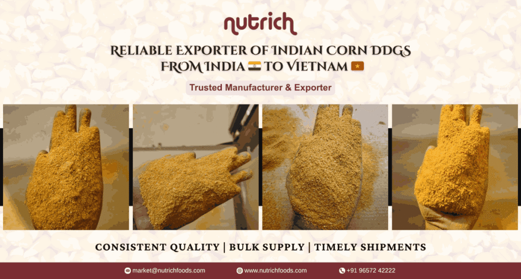 Indian Corn DDGS