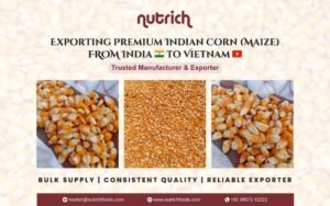 Indian Corn (Maize) Supplier to Vietnam